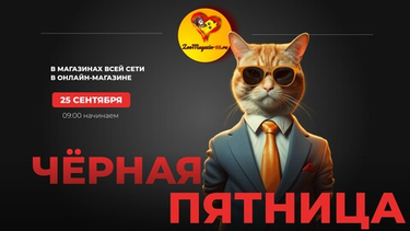Чёрная пятница - 25 сентября!