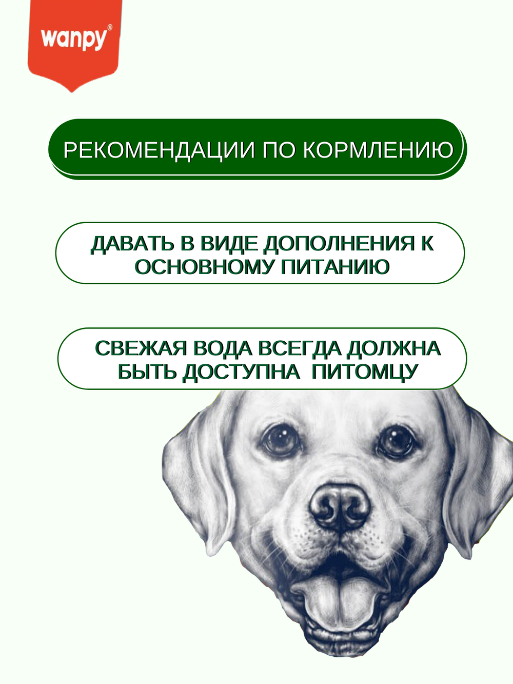 Wanpy Dog Лакомство для собак "Зубные щетки со вкусом курицы" 100 г