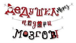 Мини-гирлянда на нити "Дедушка Мороз, подари мозгов!", 350см