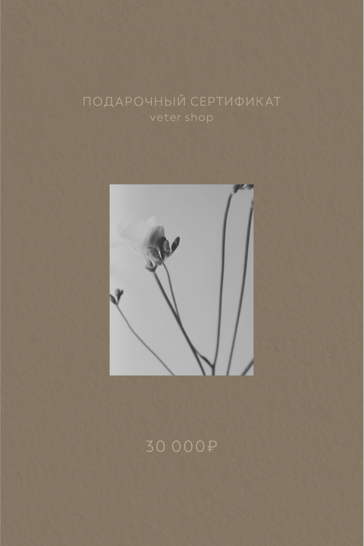 Подарочный сертификат на 30,000 рублей / Veter Shop