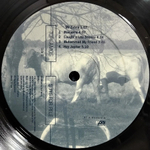 Tori Amos / Boys For Pele (2LP)