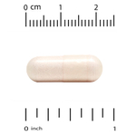 California Gold Nutrition, убихинол (восстановленная форма коэнзима Q10) с PQQ, 120 растительных капсул