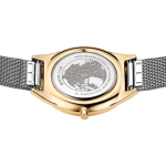 Наручные часы Bering 17031-010