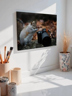 Картина на стену 40 X 50 Белка и фотоаппарат