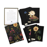 Paper Flowers Cards and Envelopes: The Art of Mary Delany