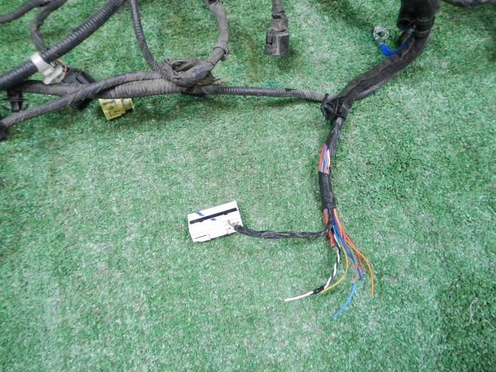 YSCN1224.JPG