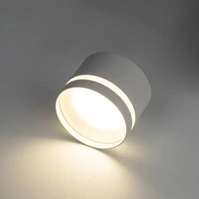 Citilux Hardy CL002C10 Светильник накладной Белый