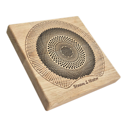 Комплект домашней акустической системы с караоке-усилителем SW SOUND Next - Sauna S4
