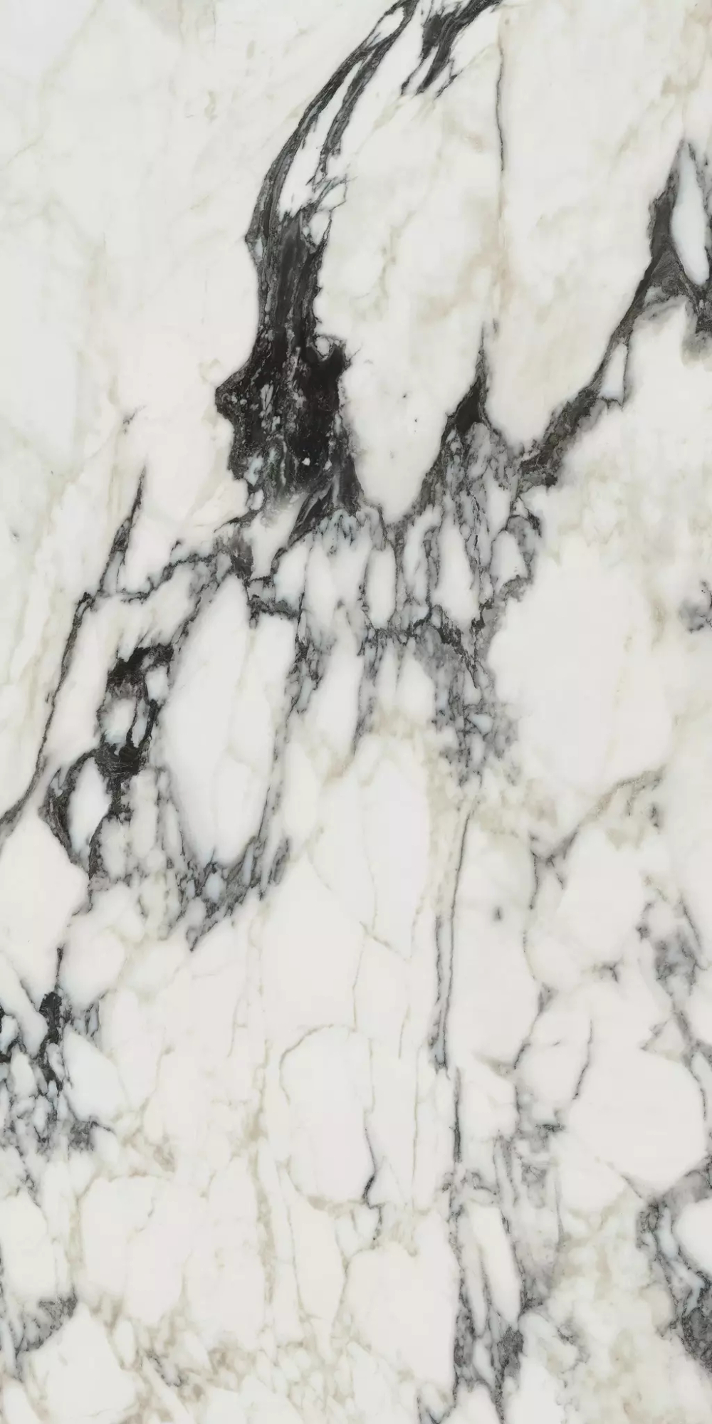 Керамогранит Bijoux Calacata Altissimo Blanc Matte