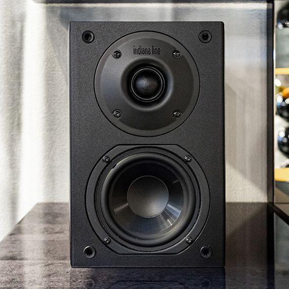 Indiana Line Nota 240 Walnut + Arylic B50