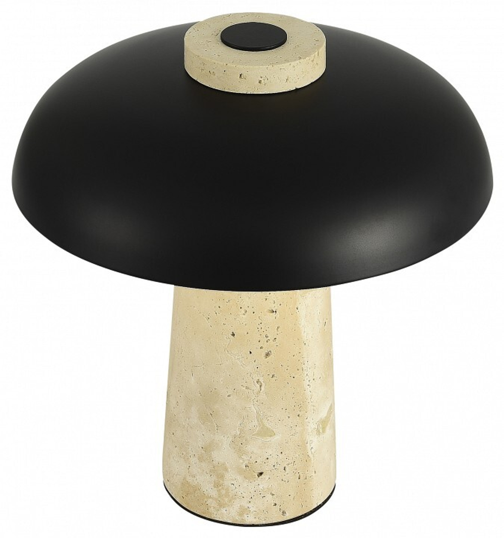 Настольная лампа декоративная ST-Luce Earthy SL1194.424.01