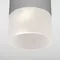 Потолочный светильник уличный Light LED 35139/H серый Elektrostandard