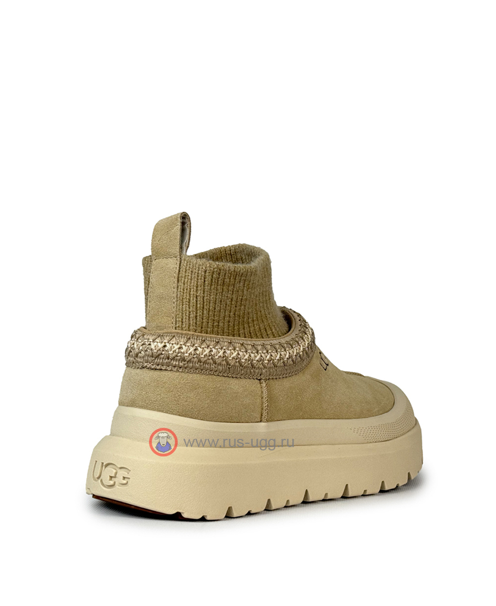 UGG TAZZ KNIT HYBRID Sand