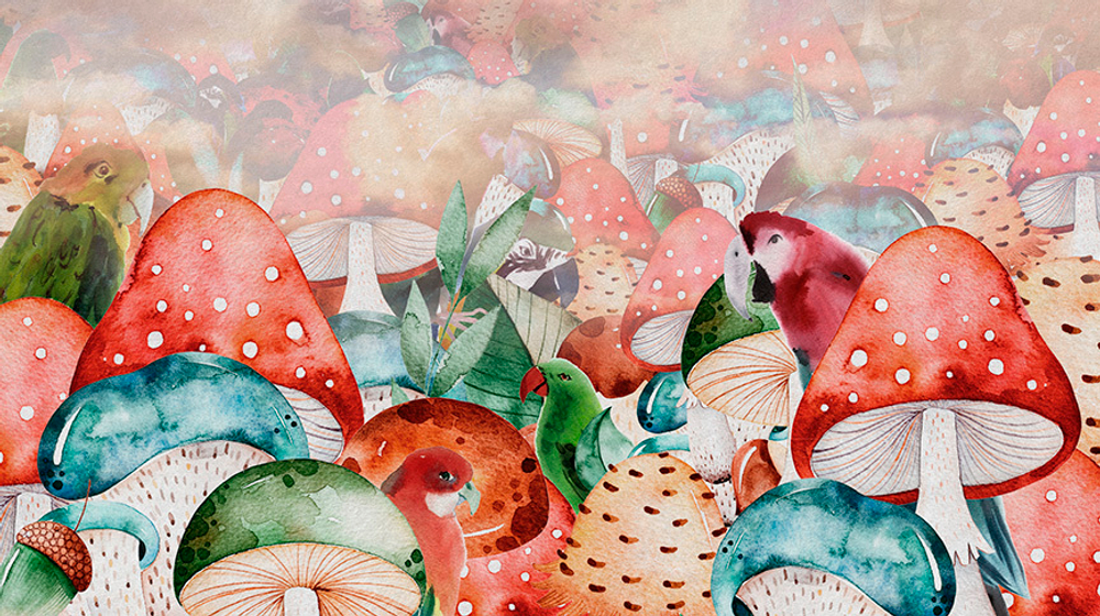 WONDERLAND 29