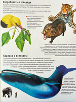 Большая энциклопедия для маленьких любознашек