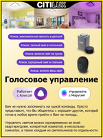Потолочный светодиодный светильник Citilux Старлайт Смарт CL703AK80G