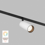 Светильник на штанге Denkirs SMART SPOT DK8040-BW+BK