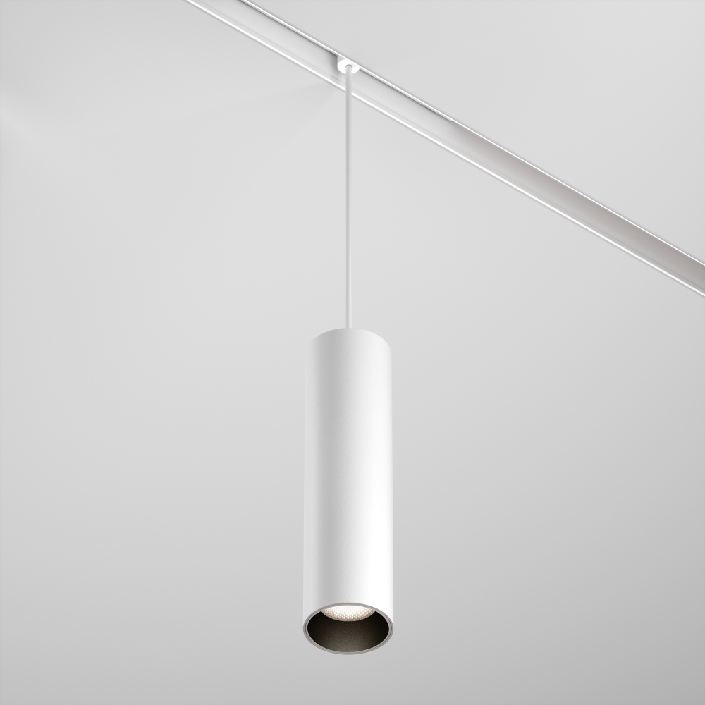 Магнитный трековый светильник Maytoni Focus LED TR041-2-12W4K-W