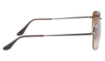 Ray Ban The Colonel RB 3560 004/51 / 61