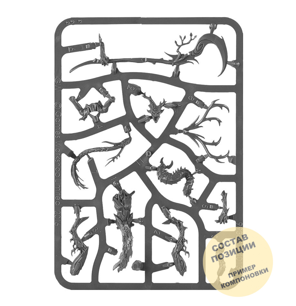 Branchwych