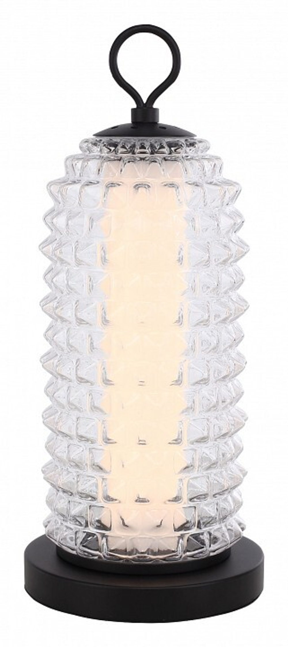 Настольная лампа декоративная ST-Luce SAGUARO SL6144.404.01