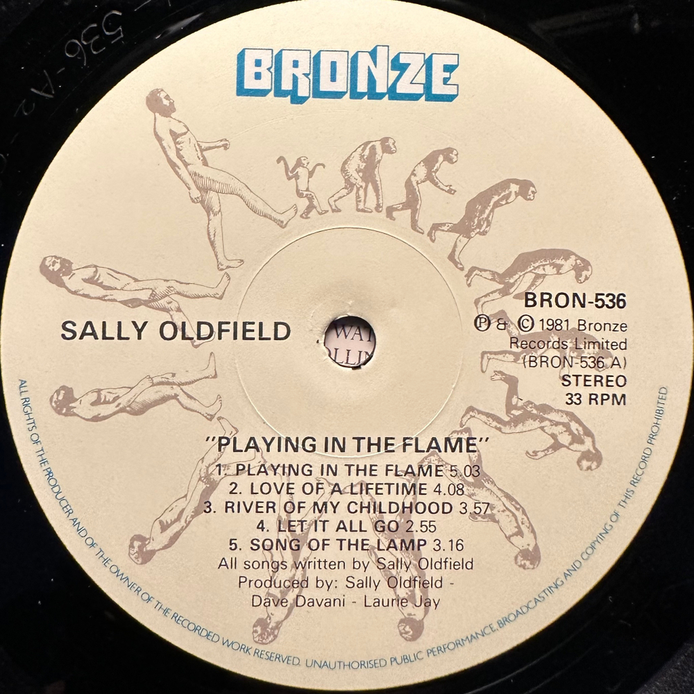 Sally Oldfield - Playing In The Flame (Скандинавия 1981г.)