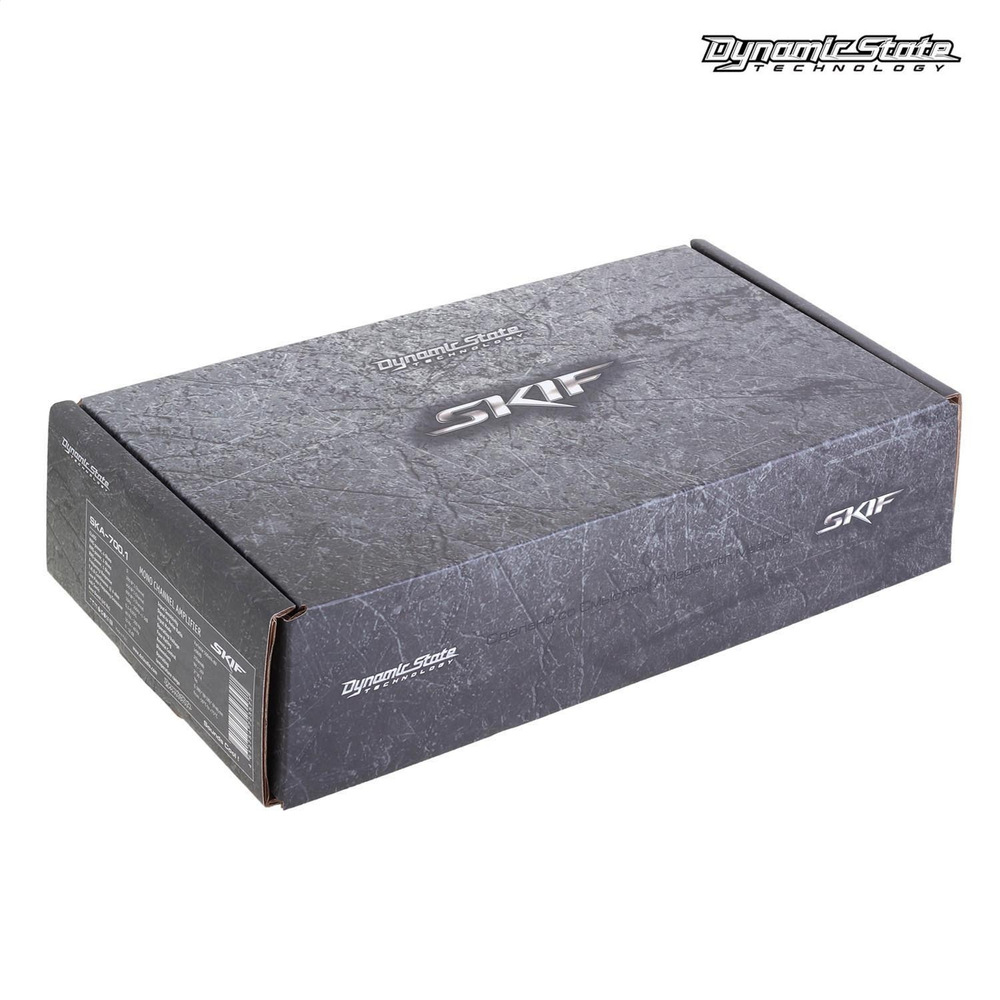 DYNAMIC STATE SKIF SKA-700.1