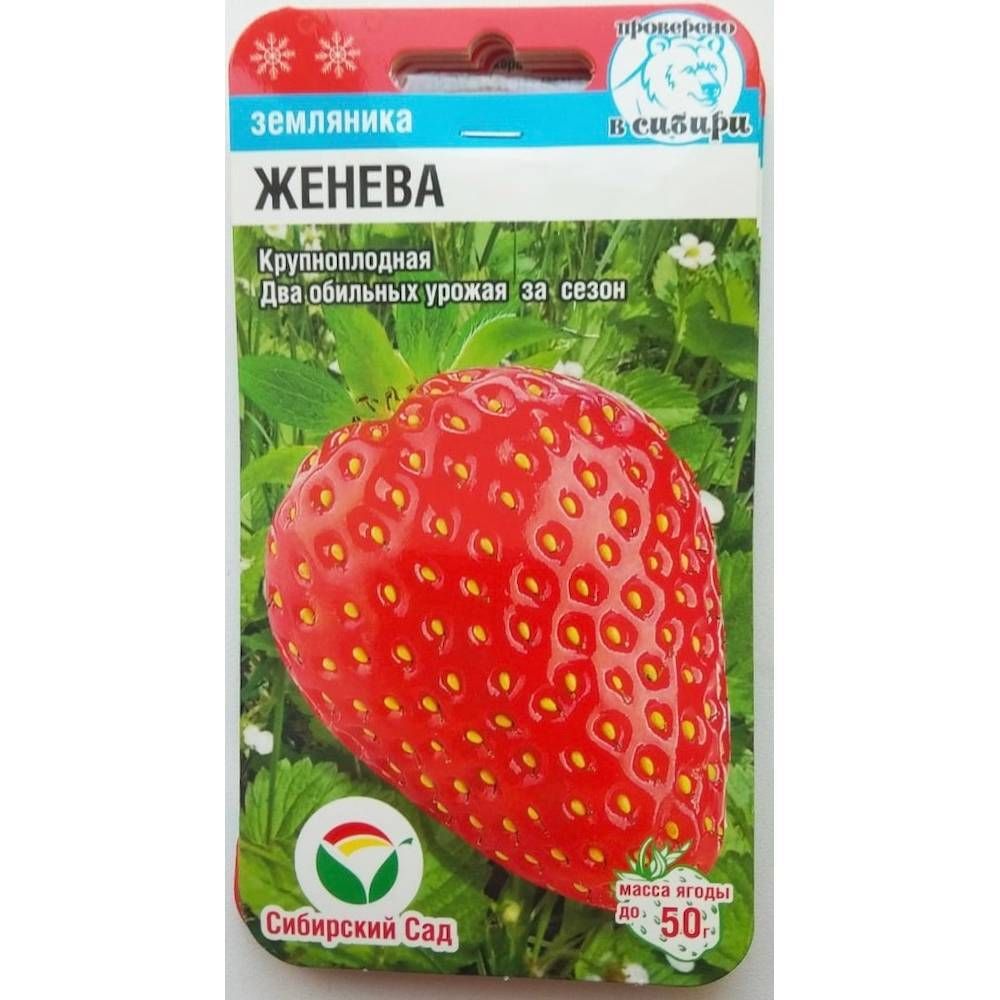 СЕМЕНА КЛУБНИКА ЖЕНЕВА КРУПН ПЛ 2Р В ГОД10 ШТ СЕМЕНА КЛУБНИКА ЖЕНЕВА КРУПН ПЛ 2Р В ГОД10 ШТ