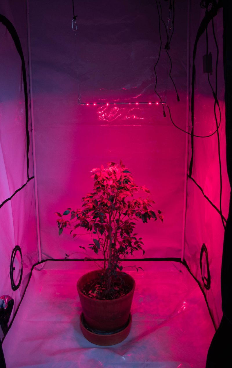 Фитолампа для растений LED Booster Line Osram 600 nm / 20 W