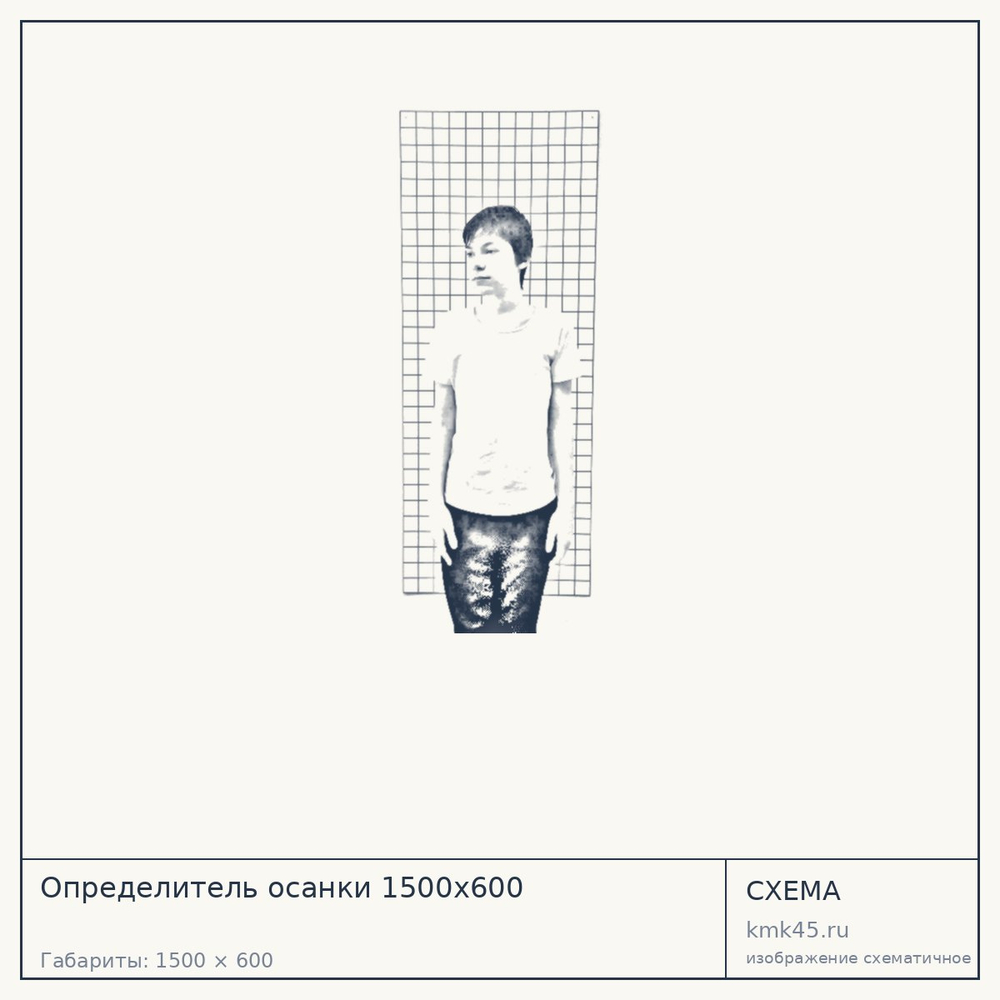 Определитель осанки 1500x600 — от 5 600 ₽