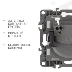 Розетка ЭРА Серия 12 12-2105-04 2P 16A-250В IP20 шампань | Эра 12