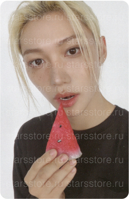 Фотокарта Felix STRAY KIDS - THIS & THAT (FANS SHOP)