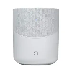 Bluesound Pulse M White