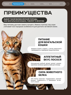 Корм сухой для взрослых кошек породы Бенгальская кошка, с лососем, 400 гр, QUATTRO