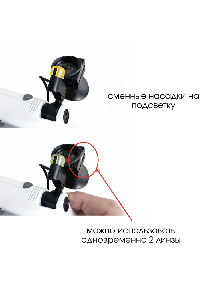 Настоящие карточки на МП - 2026-01-20T114521.915