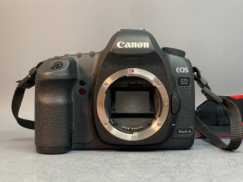Canon EOS 5D Mark II 13.735 кадров
