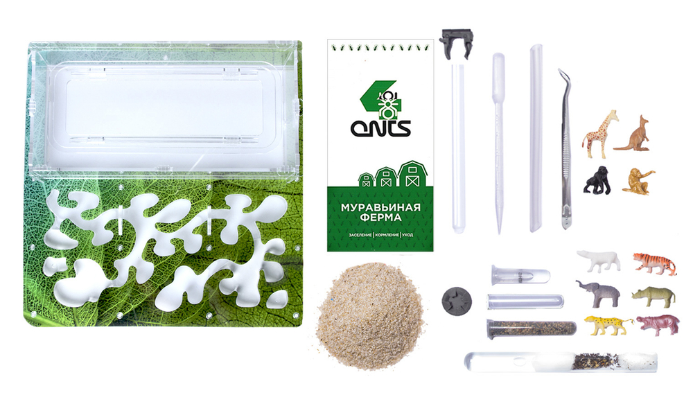 Antrum XL зеленый + муравьи Camponotus parius
