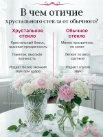 Набор бокалов "COLUMBA OPTIC" 500 мл 2 шт