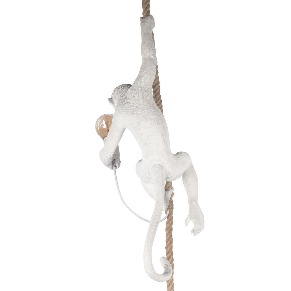 Подвесной светильник Loft It Monkey  10314P