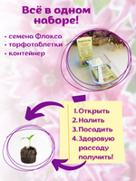 Семена Бархатцы низкорослые желтые махровые Марвел + торфяные таблетки Jiffy в подарок, 5шт