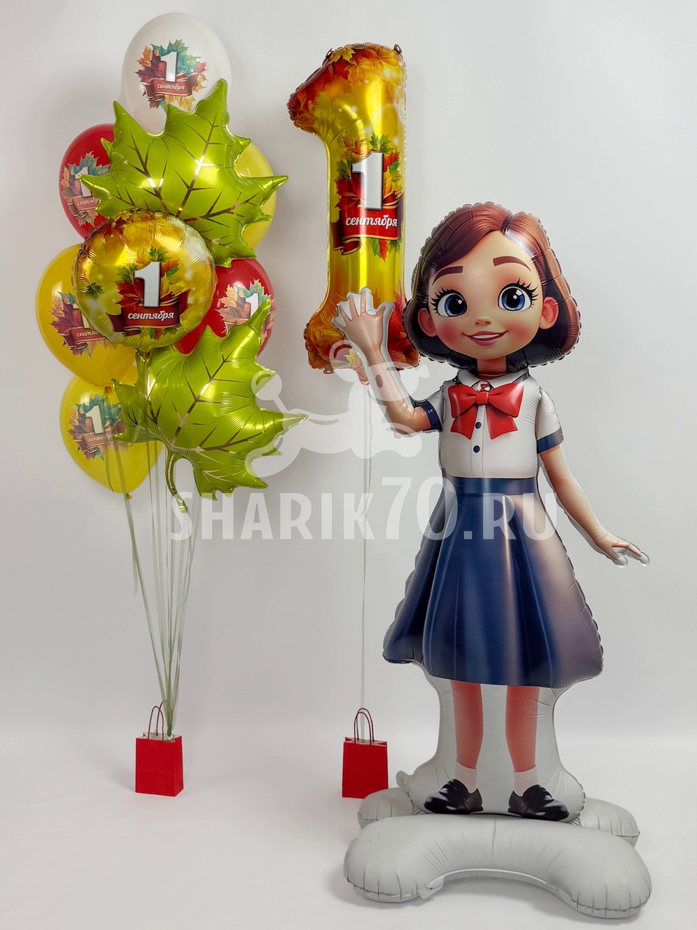 Сет ДЕНЬ ЗНАНИЙ 0023