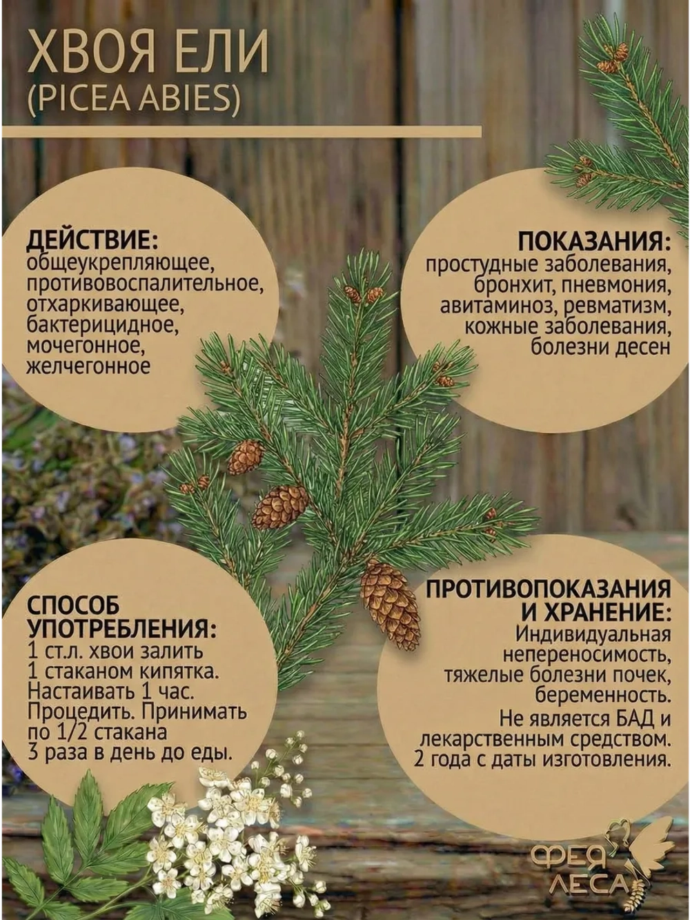 Ель хвоя для здоровья и творчества