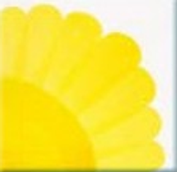 HCT-403 VIBRANT YELLOW/ЯРКИЙ ЖЕЛТЫЙ