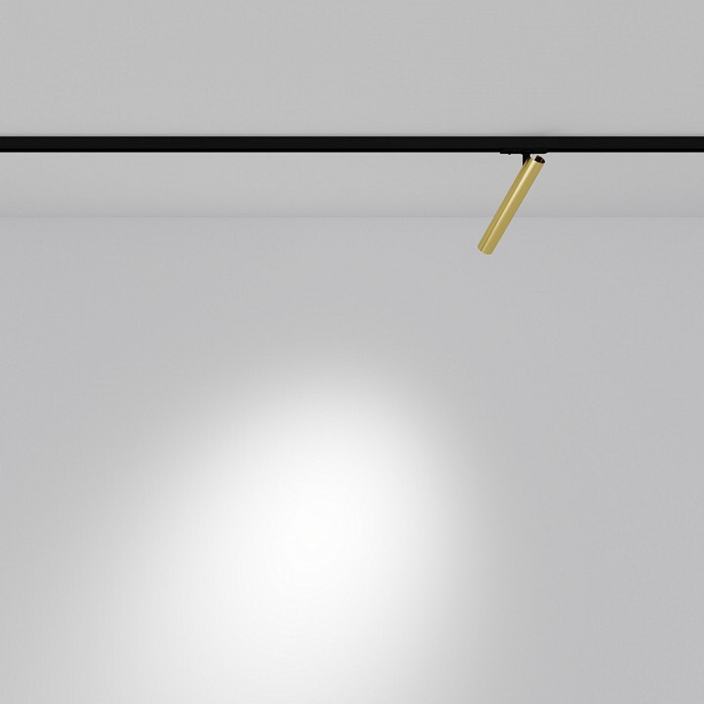 Светильник на штанге Maytoni Focus T TR141-1-6W4K-M-BS