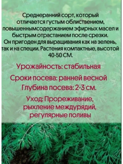 Укроп Скиф 50 гр