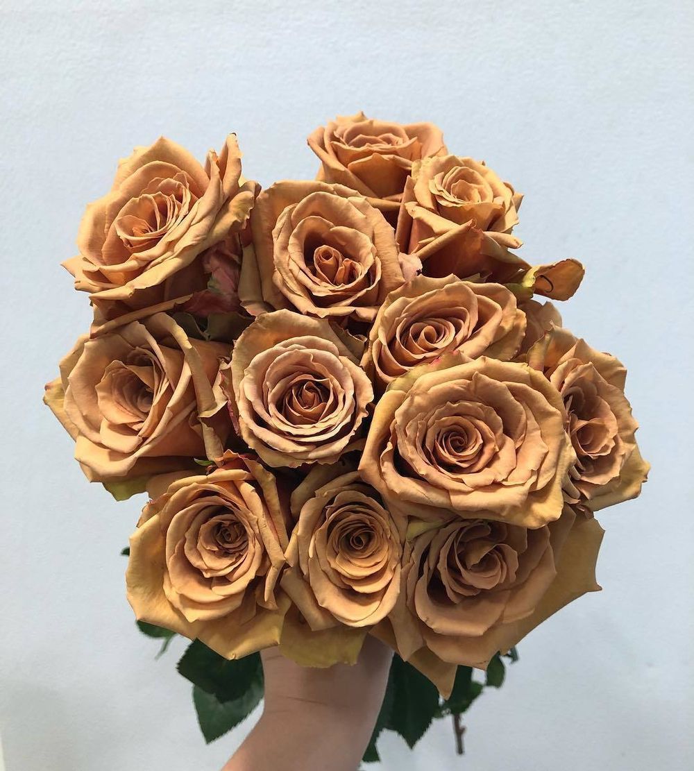 Тоффи (Toffee)