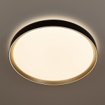 Потолочный светодиодный светильник Citilux Boss CL751451G LED RGB