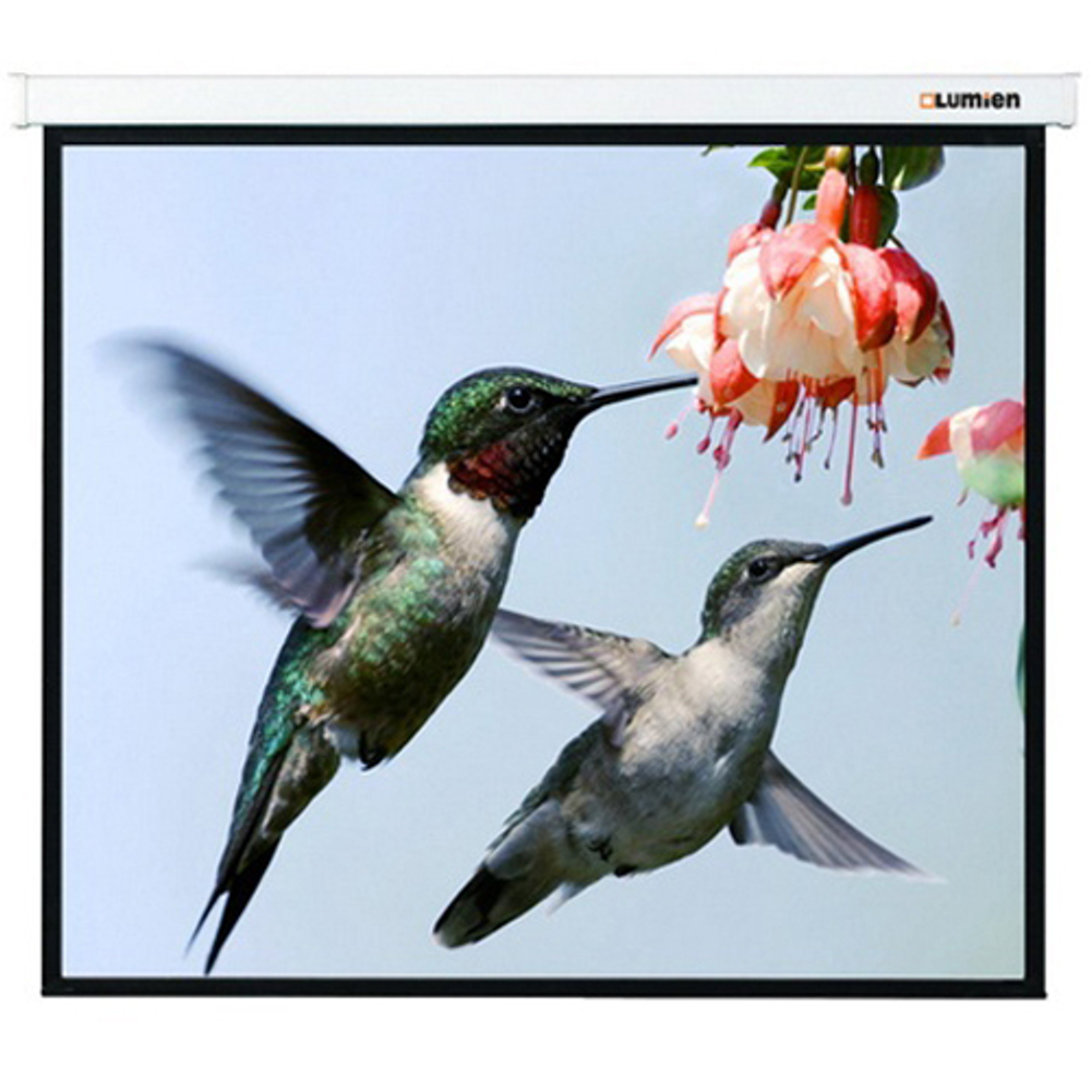 Моторизированный экран Lumien Master Control 208x300 см Matte White FiberGlass [LMC-100116]