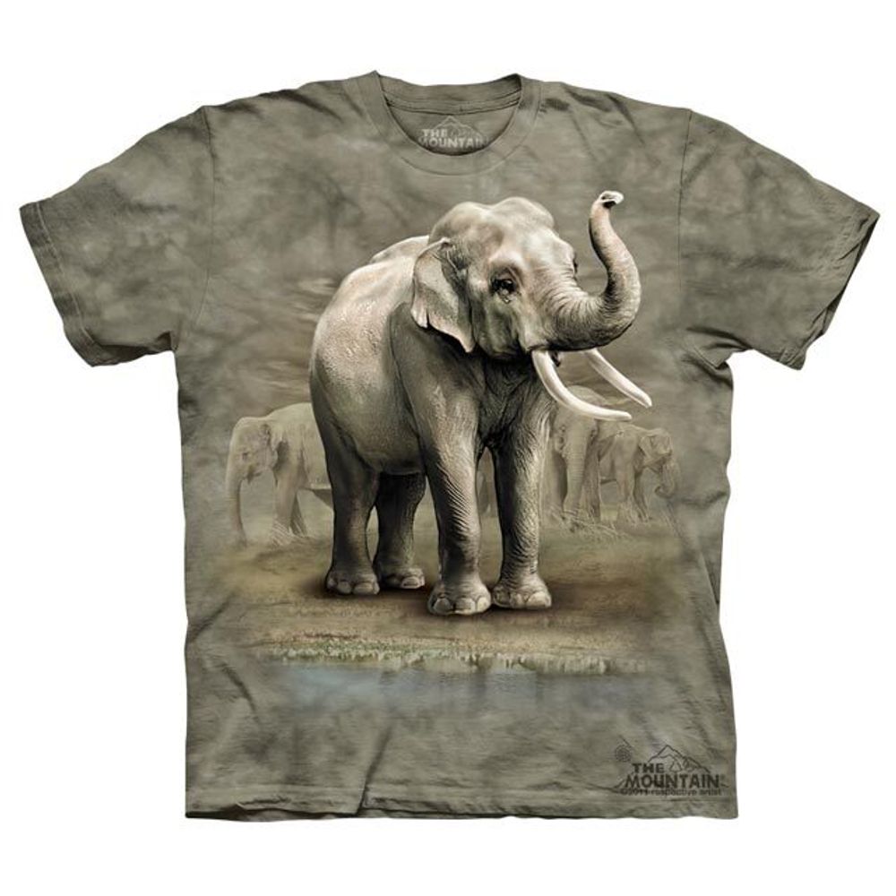 Asian Elephants Asian Elephants