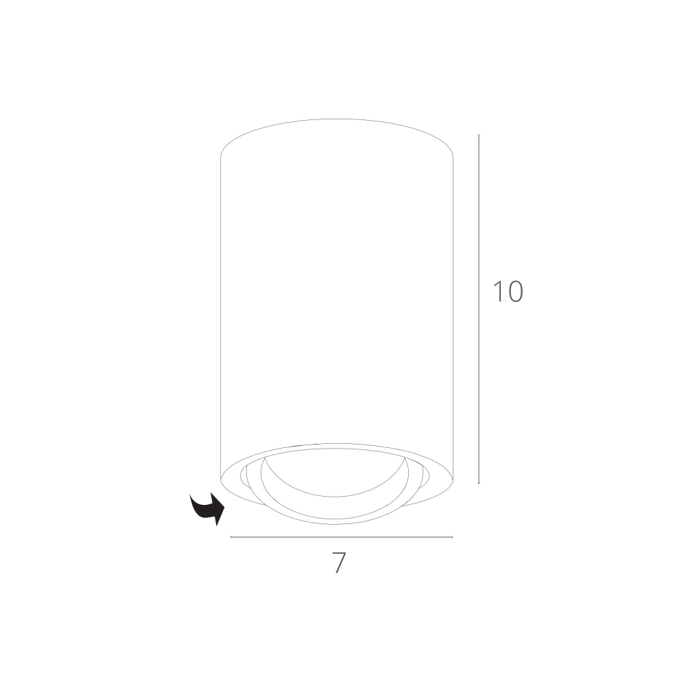 Светильник потолочный Arte Lamp Sentry A1560PL-1BK